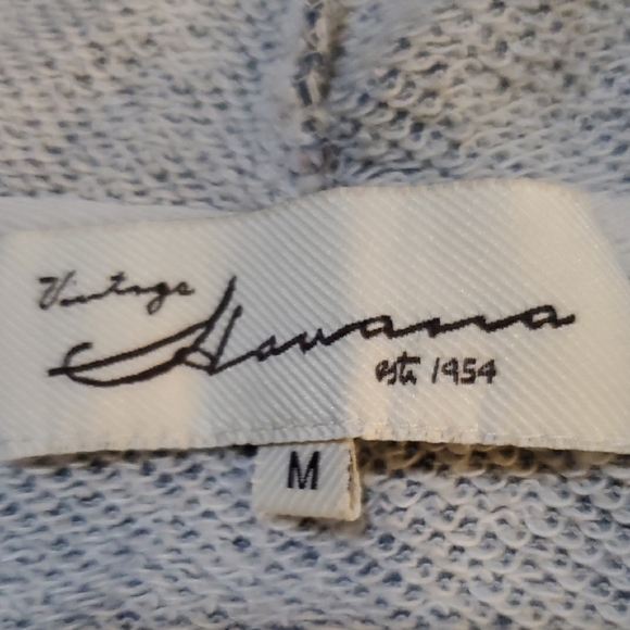 Blue Kauai Vintage Classic Hoodie - Picture 2 of 6